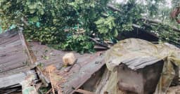 মাত্র এক মিনিটের ঝড়ে অর্ধশতাধিক ঘরবাড়ি তছনছ