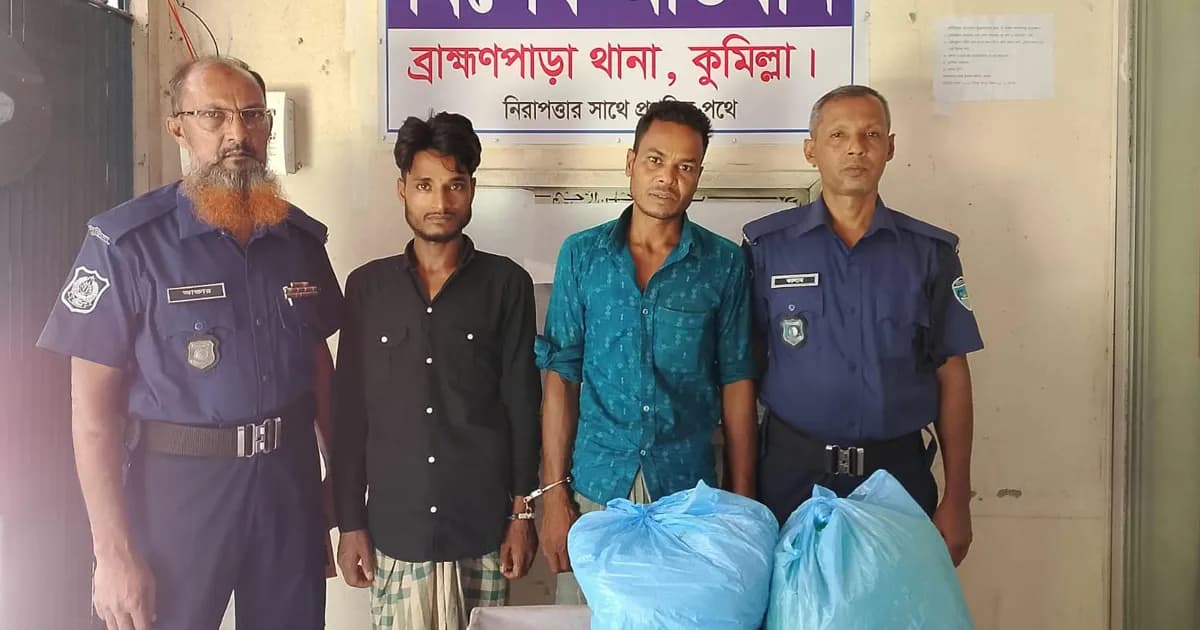 ব্রাহ্মণপাড়ায় গোয়ালঘর থেকে গাঁজা উদ্ধার, গ্রেপ্তার ২