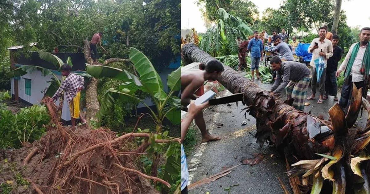 হঠাৎ ভয়াবহ ঝড়ে লন্ডভন্ড নওগাঁ
