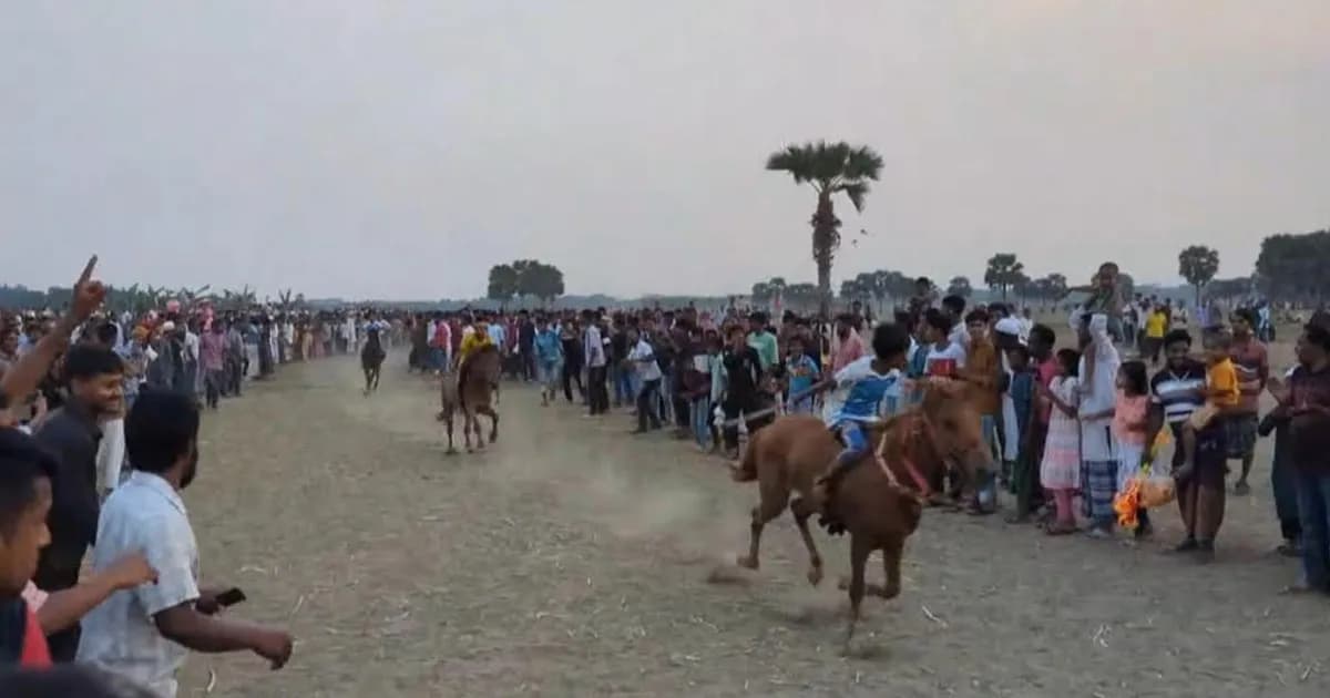১২ বছর পর সালথায় ঐতিহ্যবাহী ঘোড়া দৌড়, হাজারো মানুষের ঢল