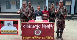 ঘাসের বস্তায় ২ কোটি টাকার স্বর্ণ উদ্ধার, ভারতয় নাগরিকসহ আটক ২ সোনা