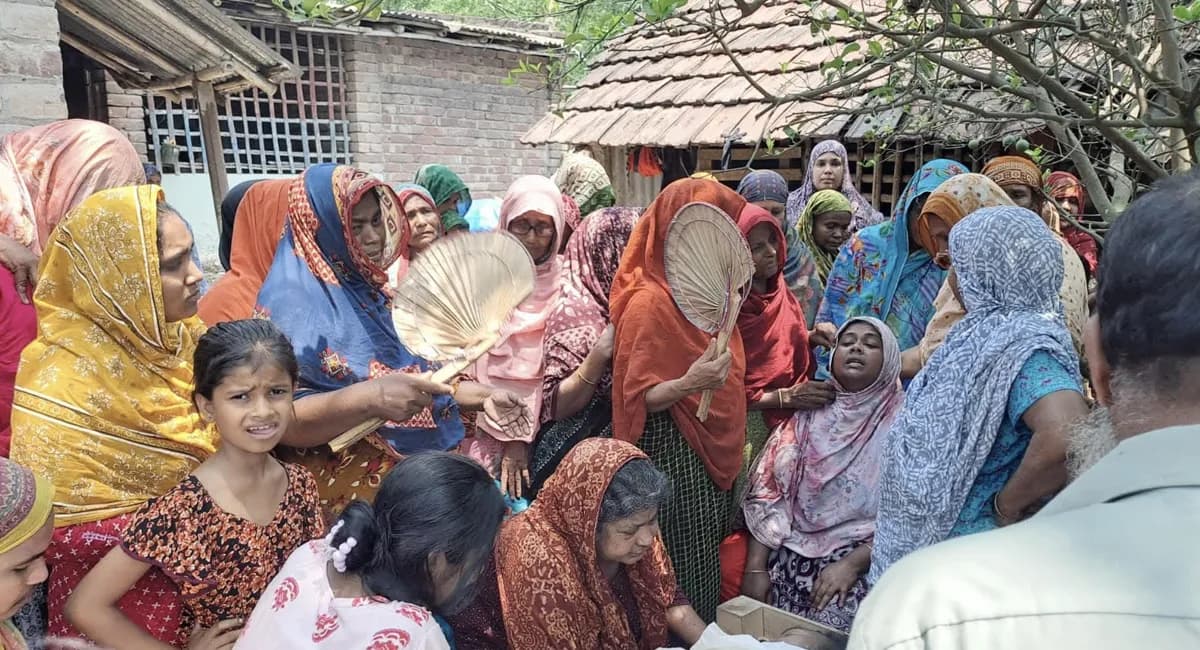 দামুড়হুদায় মৌমাছির কামড়ে ভ্যানচালকের মৃত্যু