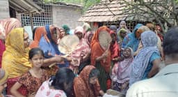 দামুড়হুদায় মৌমাছির কামড়ে ভ্যানচালকের মৃত্যু