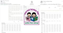 প্রকাশের আগেই প্রাথমিক বৃত্তির ফল ভাইরাল, যা বলছে অধিদপ্তর