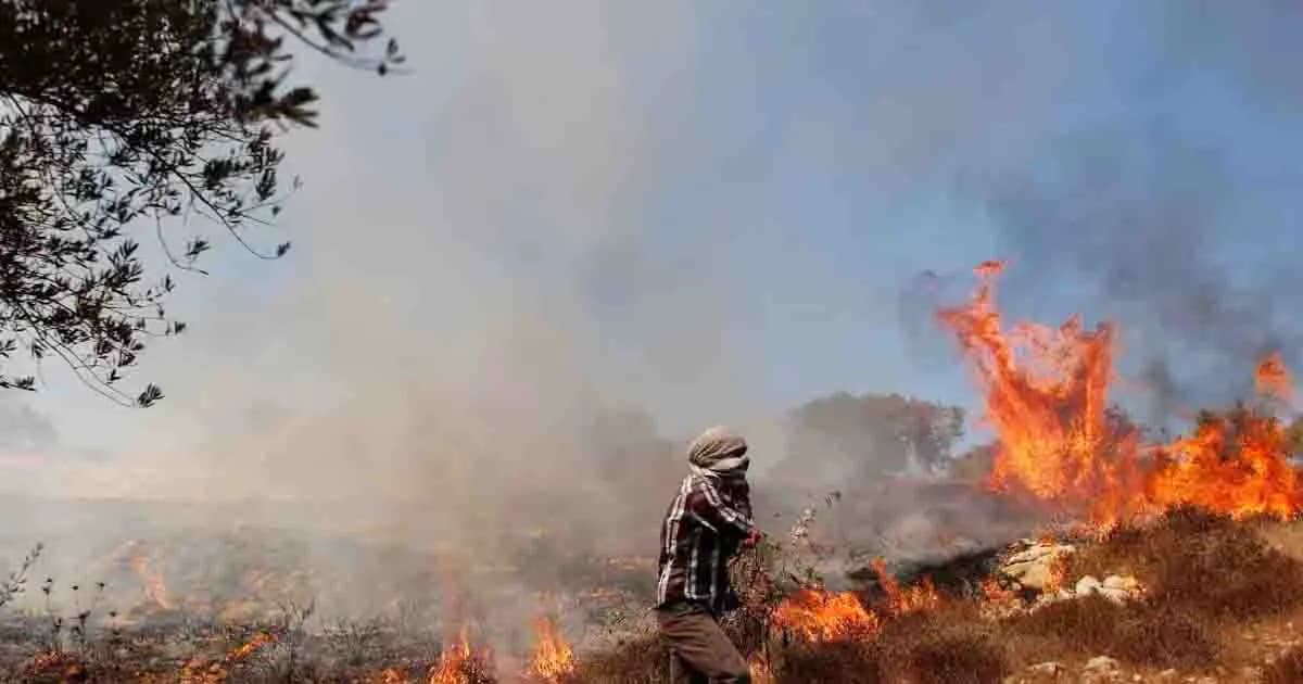 ভয়াবহ খরার মধ্যেই ৭ দিন ধরে দাবানলে পুড়ছে ইরান
