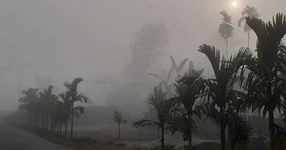 শৈত্যপ্রবাহ নিয়ে সারাদেশে বড় দুঃসংবাদ