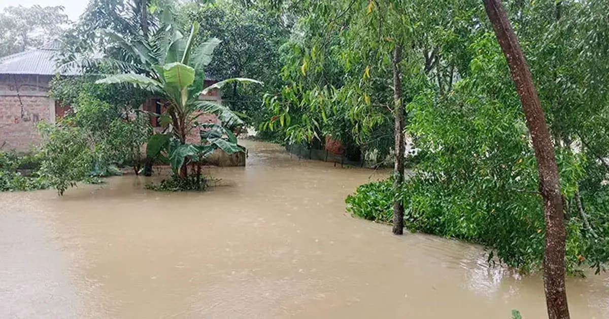 বন্যার পূর্বাভাস থাকলেও ছিল না প্রস্তুতি, পানিবন্দি ৫০ হাজার মানুষ