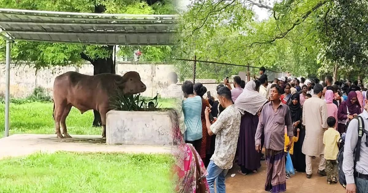 চিড়িয়াখানায় দেয়ালবন্দি ‘ডোনাল্ড ট্রাম্প’ দেখতে দর্শনার্থীদের উপচে পড়া ভিড়