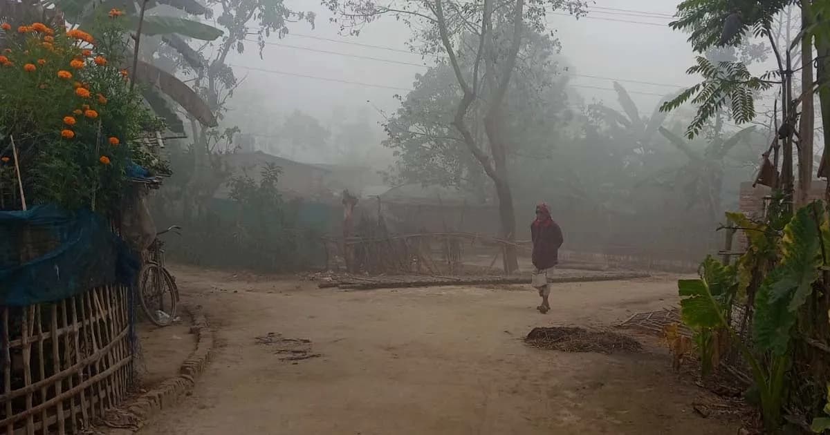 শৈত্যপ্রবাহের থাবায় চুয়াডাঙ্গা, থমকে গেছে জনজীবন