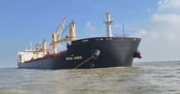 যুক্তরাষ্ট্র থেকে আরও ৬১ হাজার টন গম এসেছে