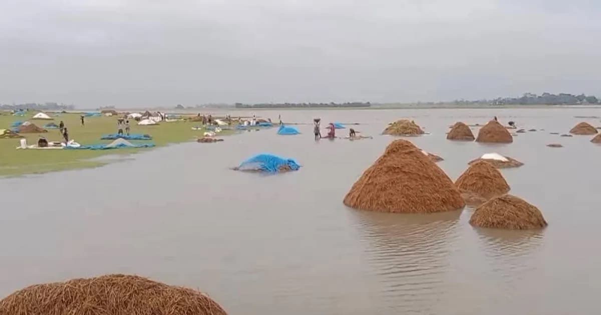 ভারী বৃষ্টি ও পাহাড়ি ঢলে জুড়ীতে ডুবছে কৃষকের স্বপ্ন