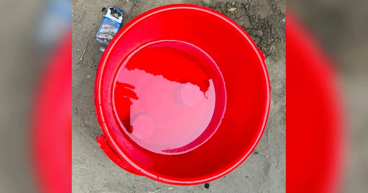 গাংনীতে দুটি বোমা সদৃশ্য বস্তু উদ্ধার, এলাকায় আতঙ্ক