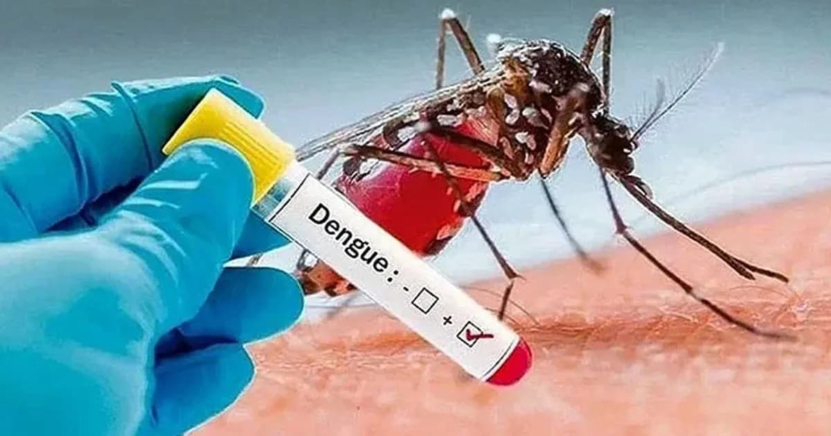 ২৪ ঘণ্টায় ডেঙ্গুতে আরও ৩ জনের মৃত্যু