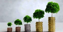 যে ৪ কাজে দ্রুত কমে যাবে আপনার রিজিক