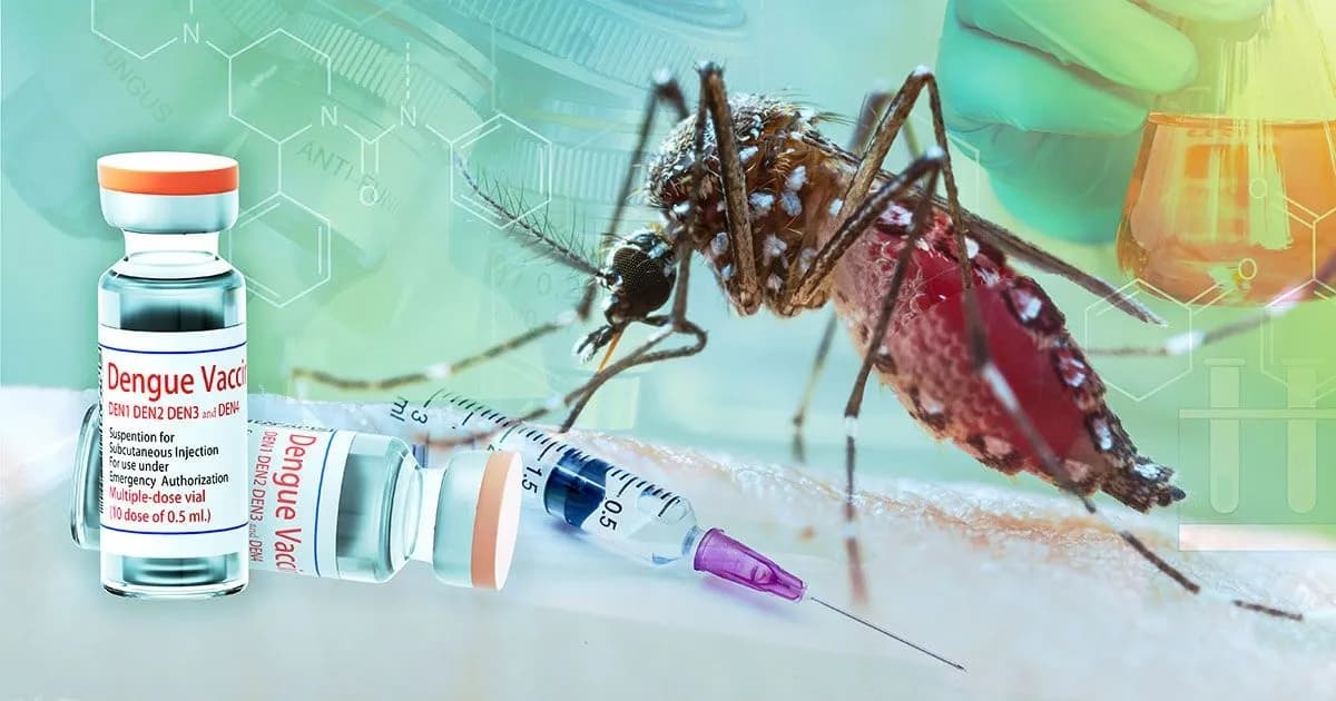 ডেঙ্গুতে আরও ৭ জনের মৃত্যু