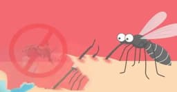 ২৪ ঘণ্টায় ডেঙ্গুতে আরও ২ জনের মৃত্যু