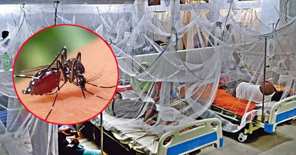 ডেঙ্গুতে আরও ৬ জনের মৃত্যু, হাসপাতালে নতুন ভর্তি ২১৫৮