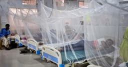 ২৪ ঘণ্টায় ডেঙ্গুতে আক্রান্ত হয়ে হাসপাতালে ভর্তি ৪১০