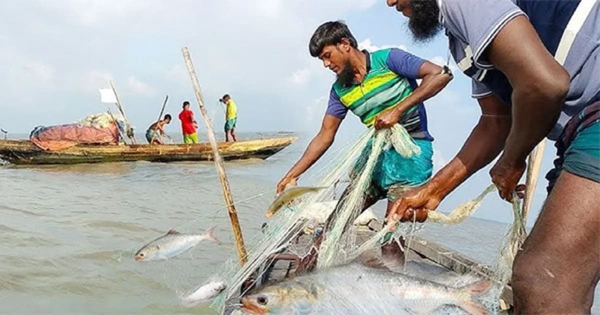 আজ থেকে জাটকা ধরায় নিষেধাজ্ঞা শুরু
