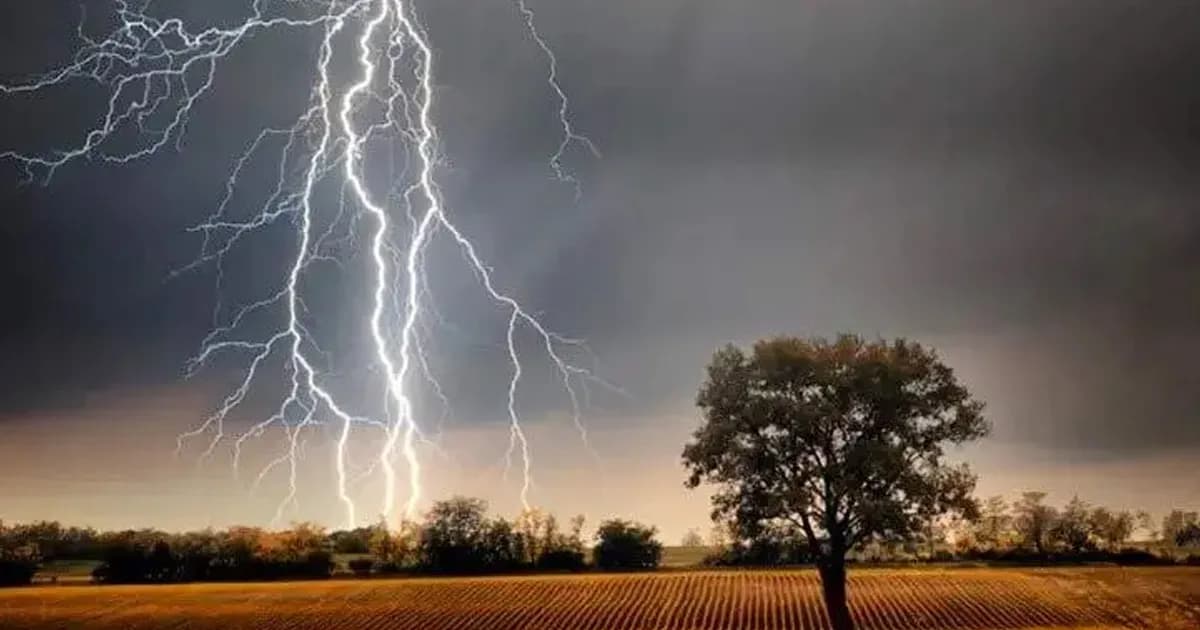 সুনামগঞ্জে বজ্রপাতে ৫ কৃষকের প্রাণহানি