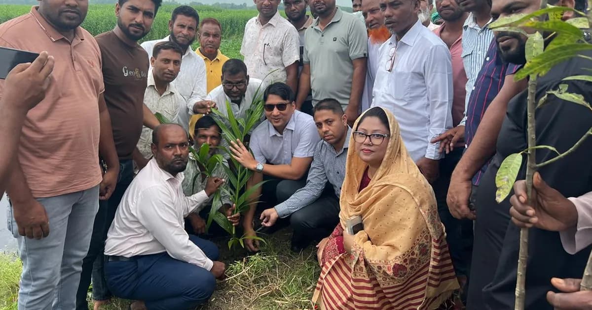 বালিয়াকান্দিতে বৃক্ষরোপণ কর্মসূচির উদ্বোধন