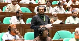 চানাচুরের মতো এই বাজেট, খেলে পেট খারাপ হয়: সংসদে আমির হামজা