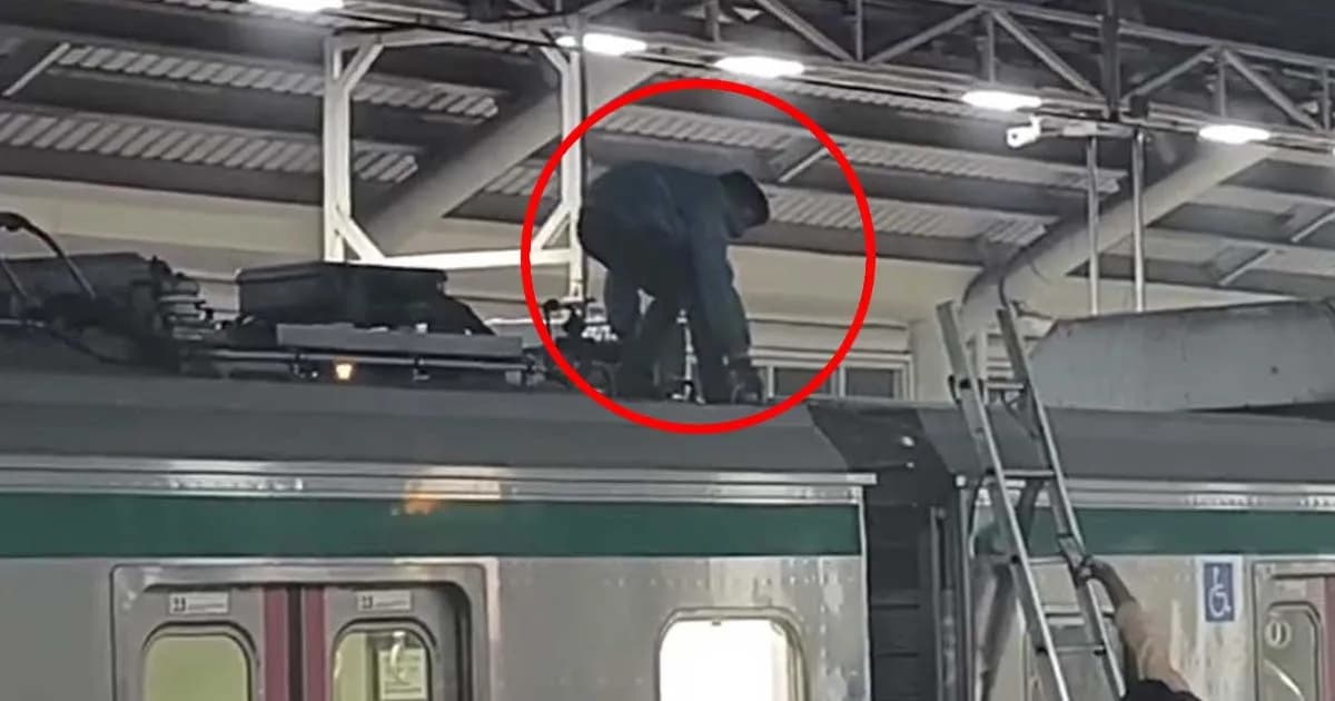 মেট্রোর ছাদে যাত্রী ওঠায়, ট্রেন চলাচল বন্ধ