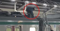 মেট্রোর ছাদে যাত্রী ওঠায়, ট্রেন চলাচল বন্ধ