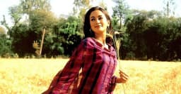 এক ছবির পরেই অভিনয় ছাড়েন শাহরুখের নায়িকা গায়ত্রী