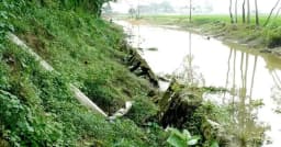 খাল পুনঃখননের মাটি ধসে পড়ছে খালেই, বিপাকে কৃষকরা