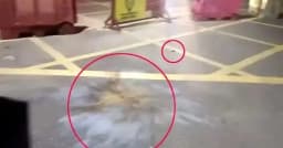 প্রধানমন্ত্রীর কার্যালয়ের সামনে ককটেল বিস্ফোরণ, রিমান্ডে ৩ জন