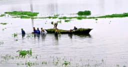 টানা বৃষ্টি ও ঝড়ে হবিগঞ্জে কৃষকের স্বপ্ন ভেসে গেল পানিতে