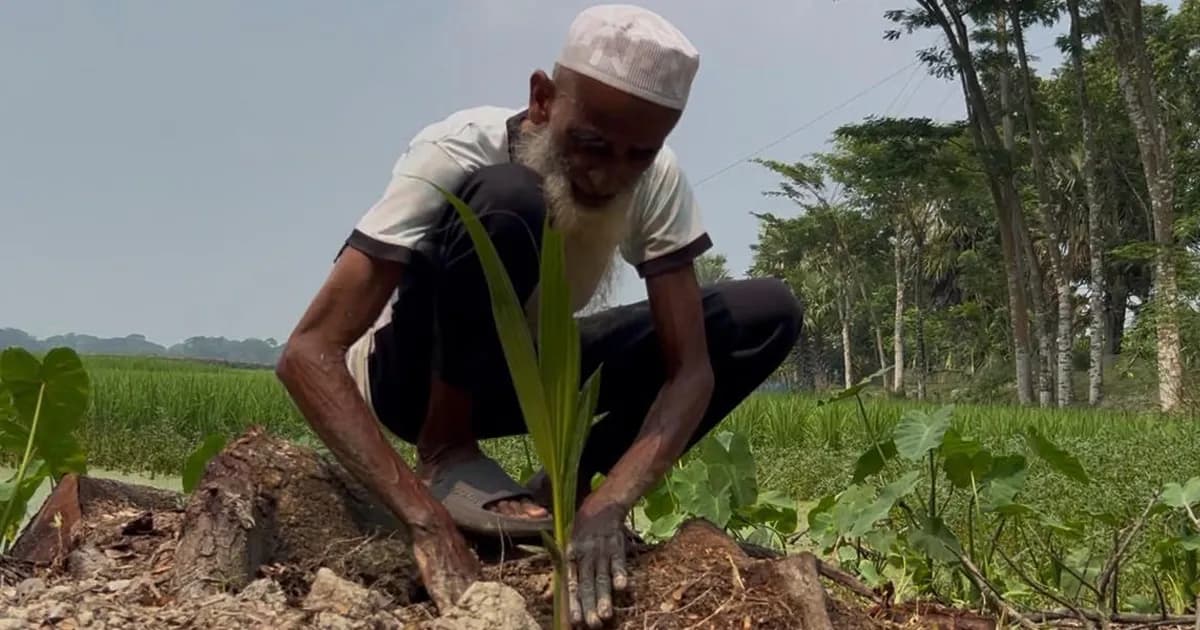৭০ বছর ধরে পরিবেশ সবুজ করেছেন যিনি, আজ তার জীবনই অসহায়