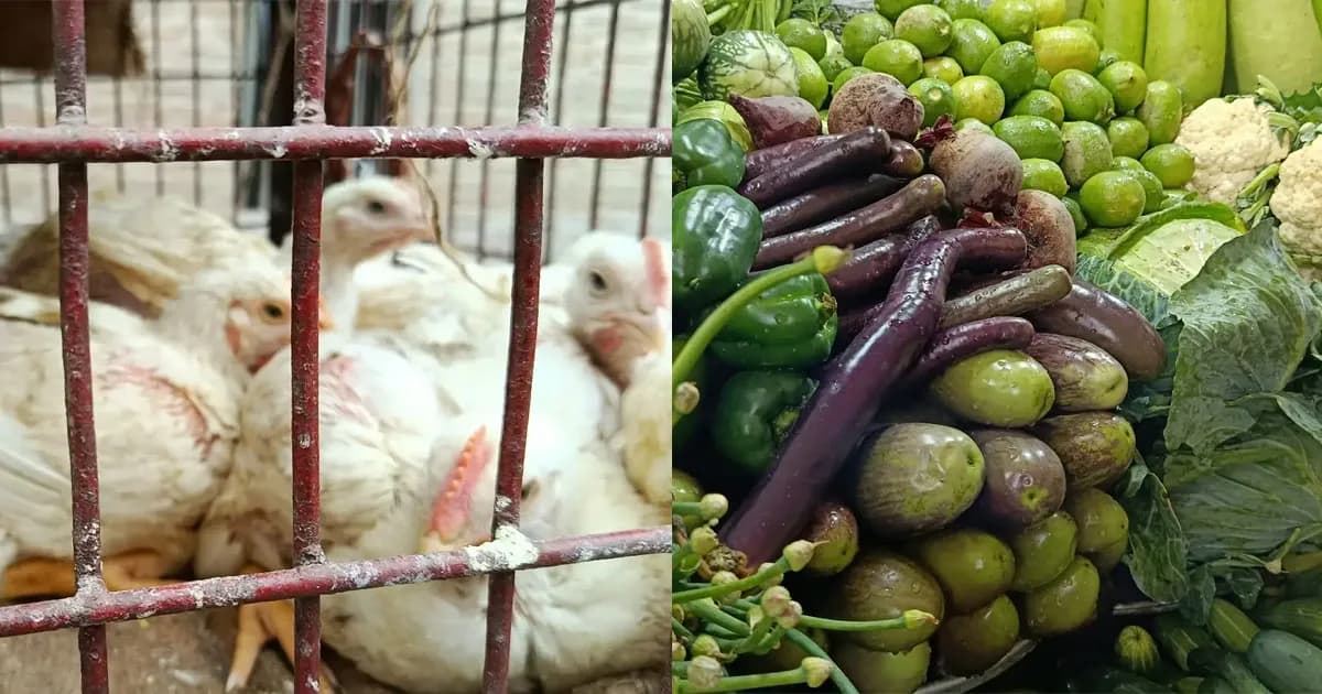 ঈদের আগে মুরগির দাম চড়া, কমেছে সবজির দাম