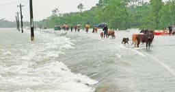 ভারী বর্ষণের প্রভাবে বাড়বে নদ-নদীর পানি