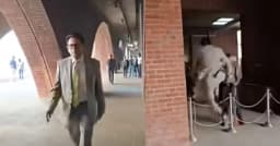 লাফ দিয়ে সংসদে ঢুকলেন এহসানুল হক মিলন