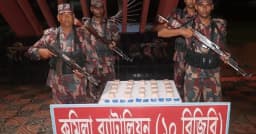 সীমান্তে পড়েছিল কোটি টাকার ভারতীয় ইয়াবা, জব্দ করল বিজিবি