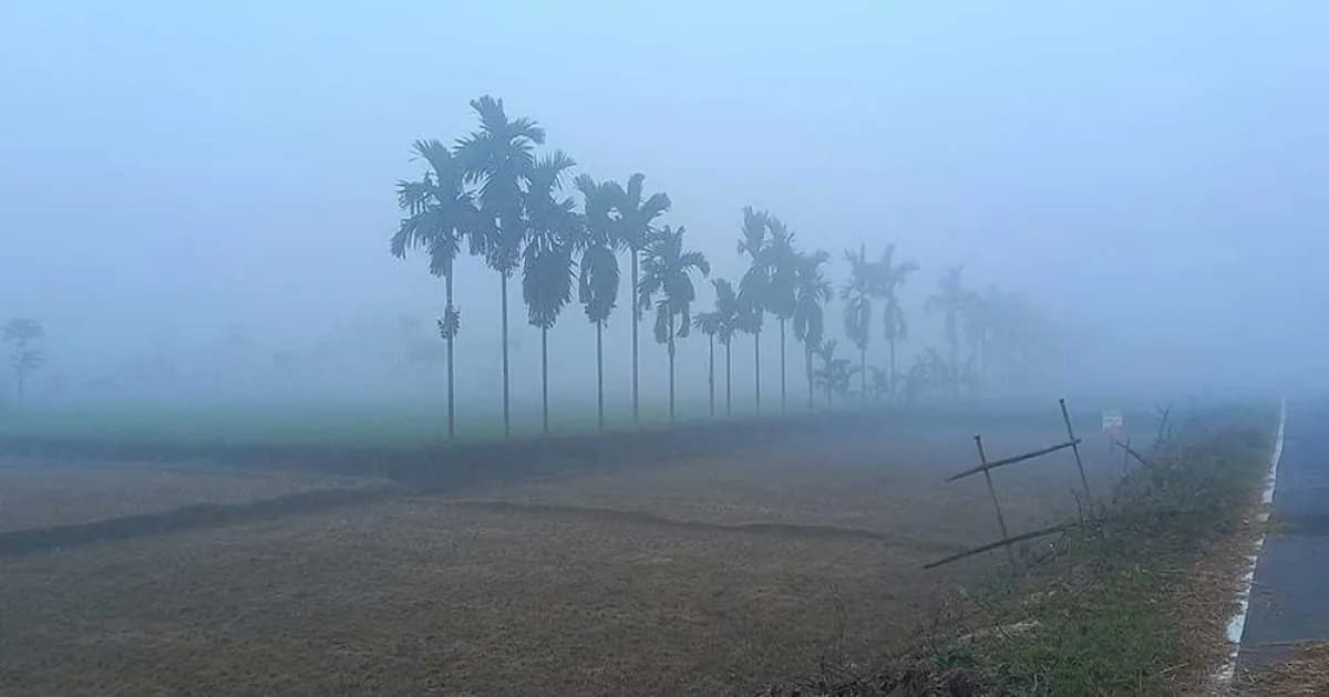 পঞ্চগড়ে থামছে না শীতের কাঁপুনি, তাপমাত্রা নামল ১৩ ডিগ্রিতে