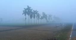 পঞ্চগড়ে থামছে না শীতের কাঁপুনি, তাপমাত্রা নামল ১৩ ডিগ্রিতে