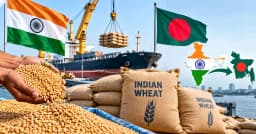 আবারও ভারতীয় গম কিনছে বাংলাদেশ, বুকিং ২ লাখ টনের বেশি