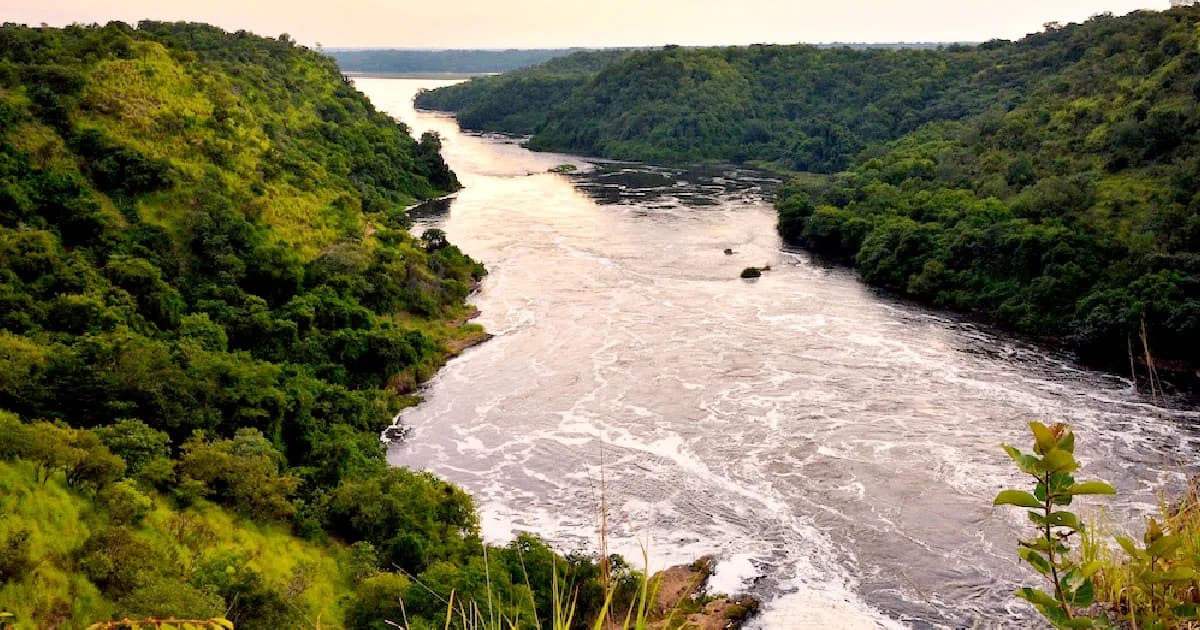 ট্রাম্পের মধ্যস্থতার প্রস্তাবকে স্বাগত জানালো মিশর ও সুদান