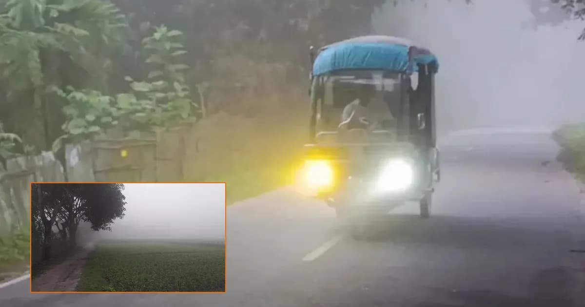 হঠাৎ ঘন কুয়াশায় ঢাকল পঞ্চগড়, হেডলাইট জ্বালিয়ে চলল গাড়ি