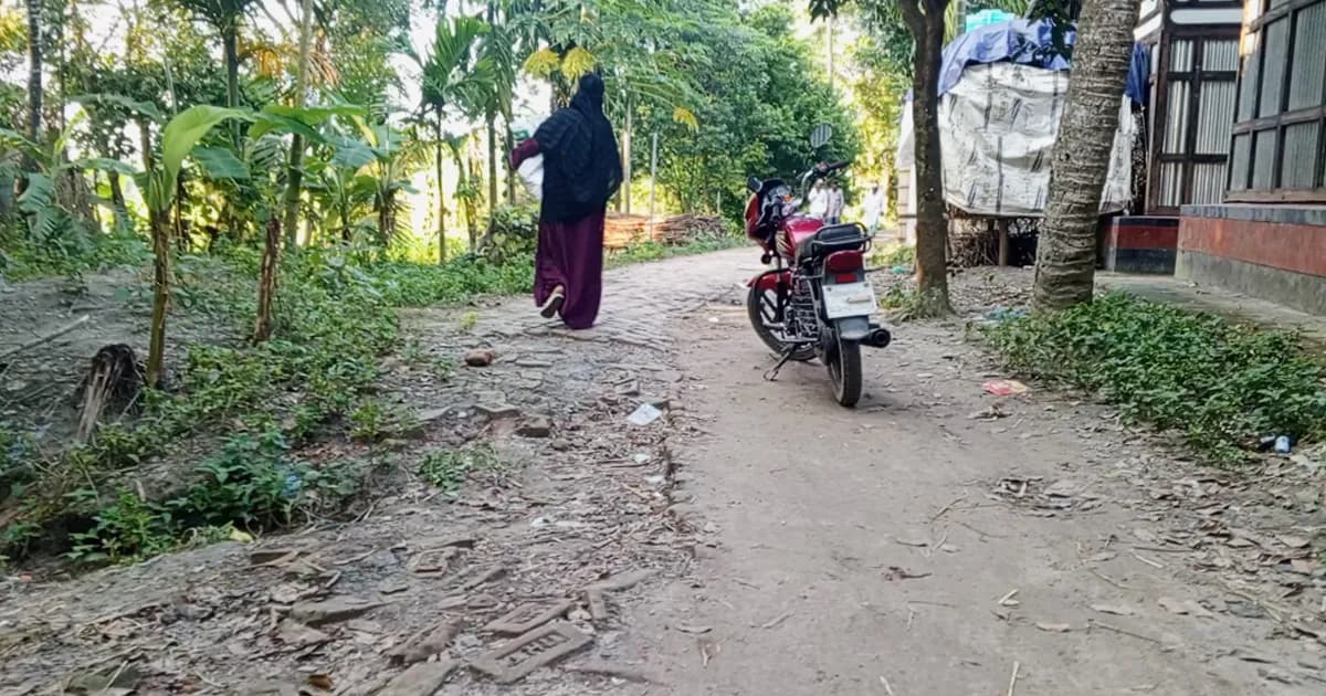 ভাঙাচোরা ইটের রাস্তায় দুর্ভোগে তিন গ্রামের দুই হাজার মানুষ