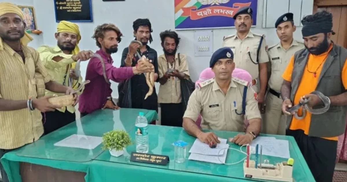 চলন্ত ট্রেনে সাপ দেখিয়ে টাকা আদায়ের অভিযোগে আটক ৬