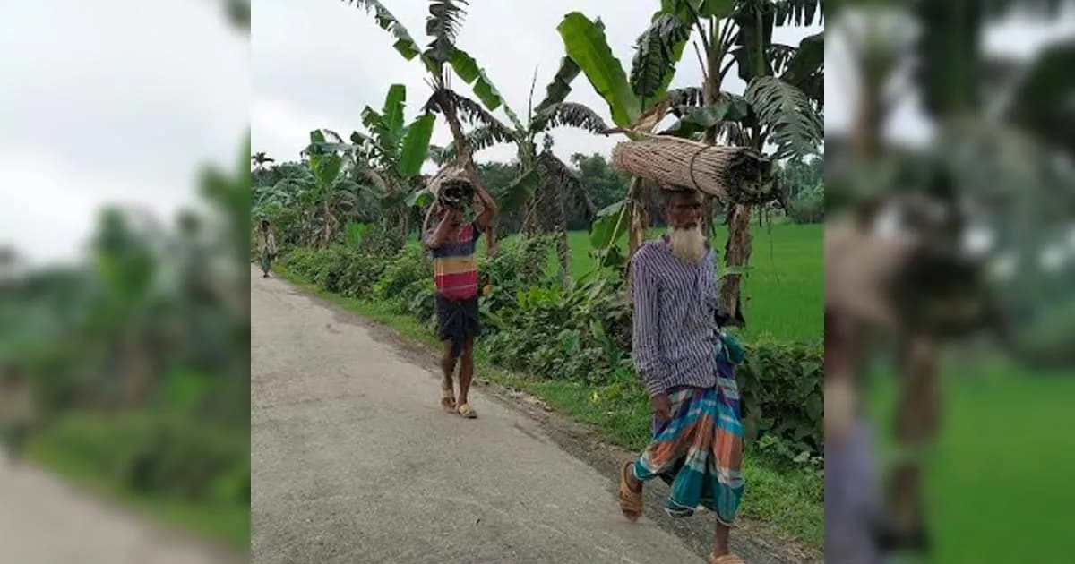সকালে বের হলেই দেখা মেলে এসব বক শিকারিদের