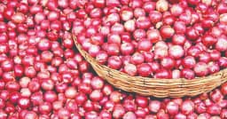 বাণিজ্য উপদেষ্টার হুঁশিয়ারির পরও ঊর্ধ্বমুখী পেঁয়াজের দাম