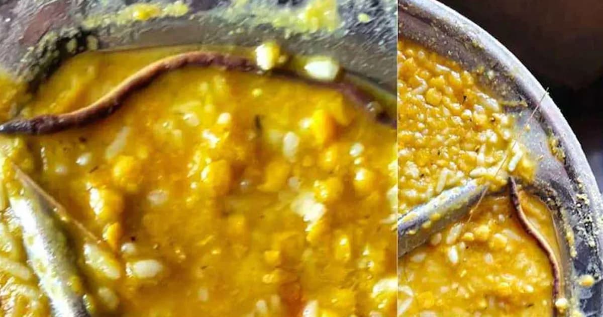 স্কুলের খাবারে মিলল সাপ, হাসপাতালে শতাধিক শিক্ষার্থী