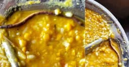 স্কুলের খাবারে মিলল সাপ, হাসপাতালে শতাধিক শিক্ষার্থী