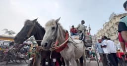 ঢাকার রাজপথে ঘোড়ার গাড়ি, ঐতিহ্য রক্ষায় প্রয়োজন প্রণোদনা
