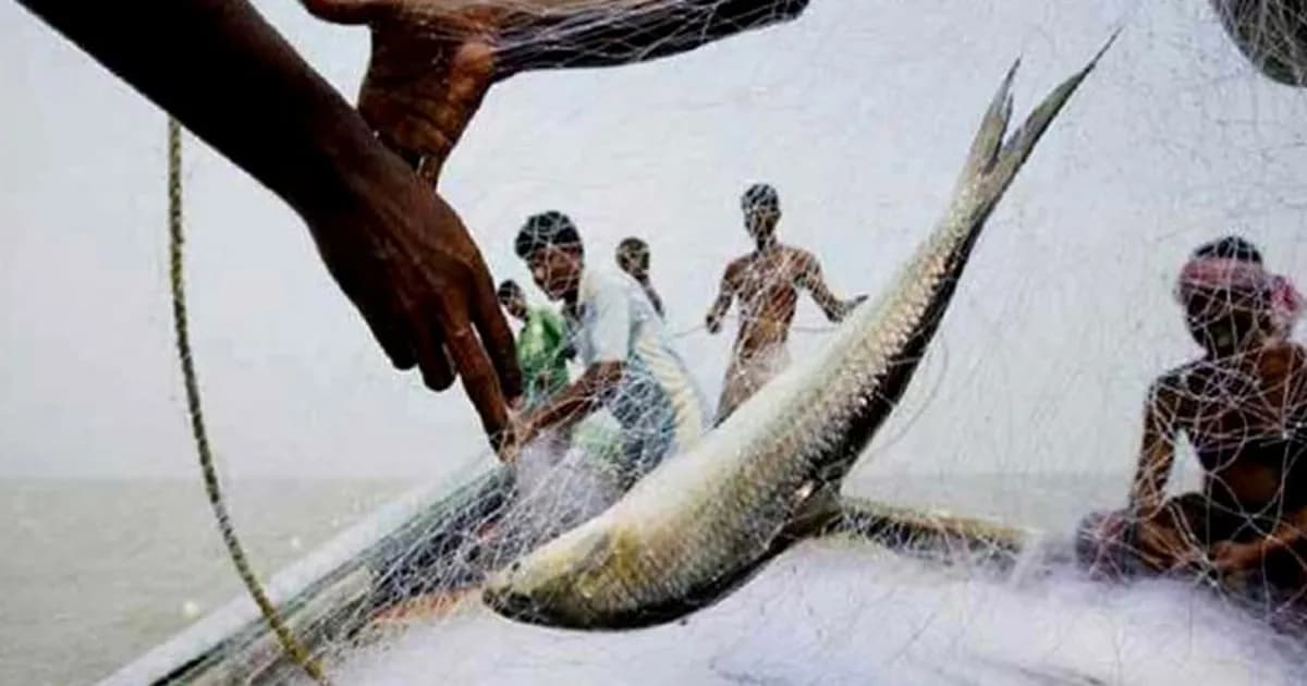 টানা দুই মাসের নিষেধাজ্ঞা শেষে নদীতে নামছে জেলেরা